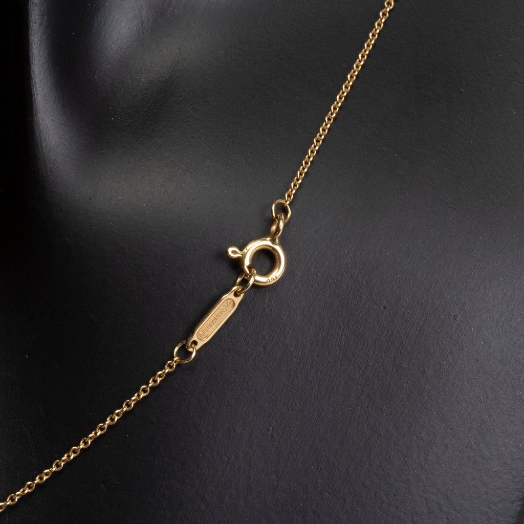 TIFFANY & CO. Interlocking Circles Necklace