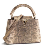 LOUIS VUITTON Lizard Mini Capucines Handle Bag - Brown