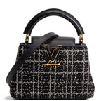 LOUIS VUITTON Beaded Mini Capucines - Black